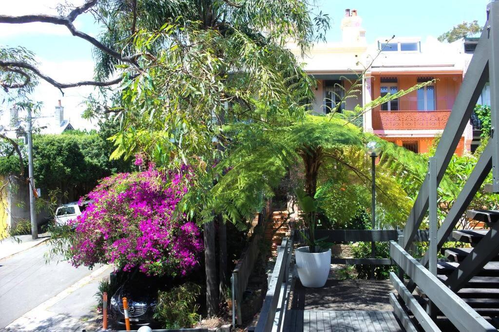 Appartamento Boutique Paddington With Cbd Views